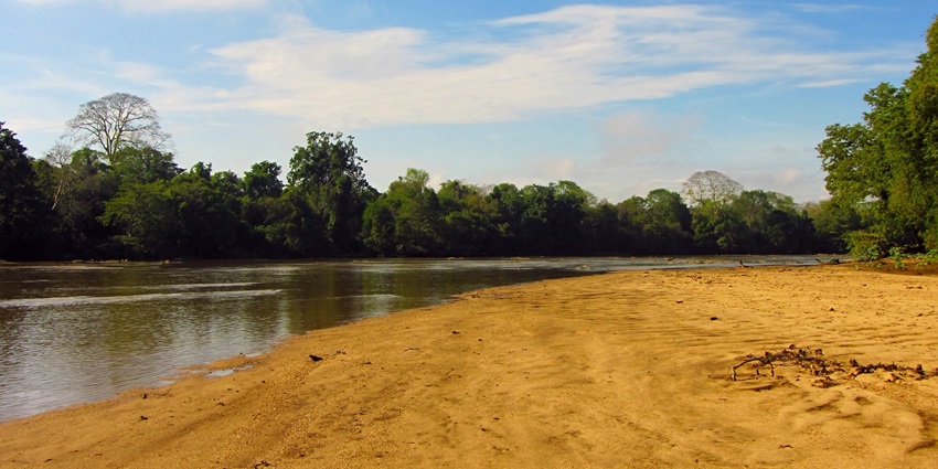 A scenic view of a pristine river flowing through Wasgamuwa National Park Sri Lanka.