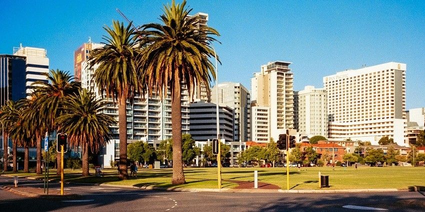 Beautiful city with Plam trees and buildings in the background near the temple site