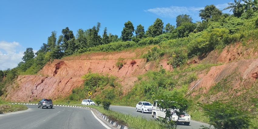 Roadways
Alt Text: Black vehicle driving on a road flanked by vibrant green leaf plants and lush foliage.