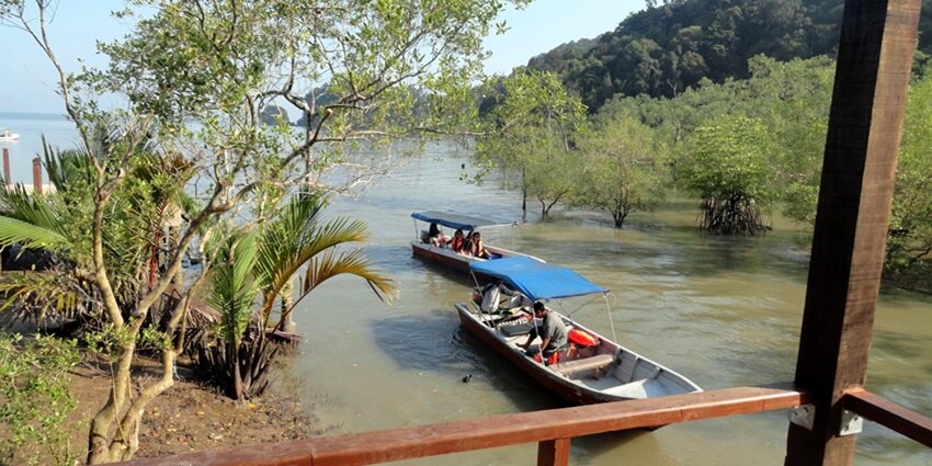 You can reach the park via flight, road, or waterways, depending on your location.