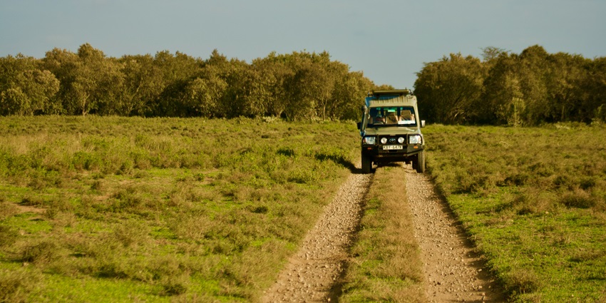 Enjoy the exciting wildlife safari at the Tawi Wildlife Sanctuary in Mizoram, India.