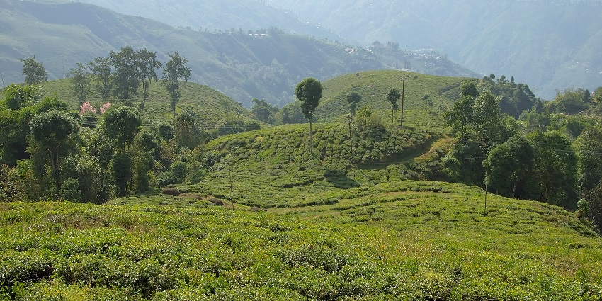 Darjeeling is a hill station situated at great heights so there's no airport in the region.