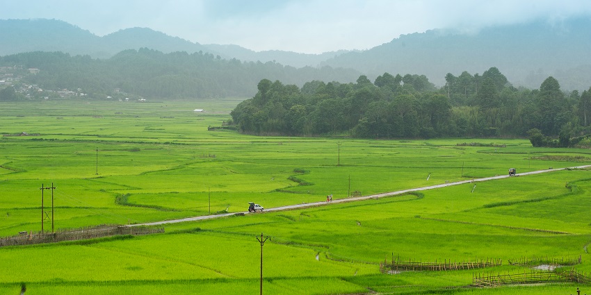 A picture of beautiful valley that hosts Ziro Music Festival every year