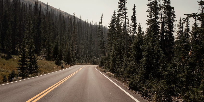 A breathtaking view of a straight grey road with yellow lines surrounded by lush greenery.