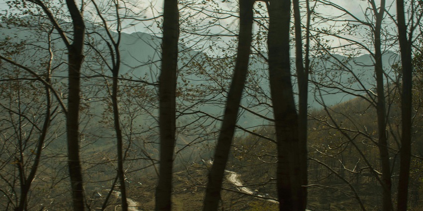 A stunning view of a forest with a winding road in between the woods during the daytime.