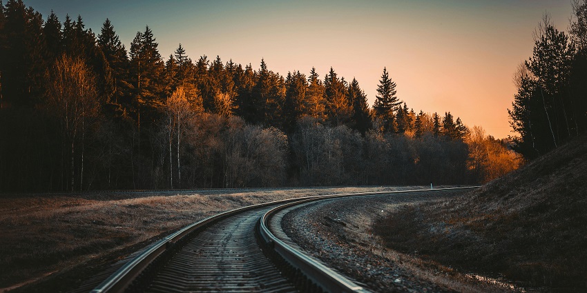 A view of a railway track surrounded by tall lush green trees during the daytime.