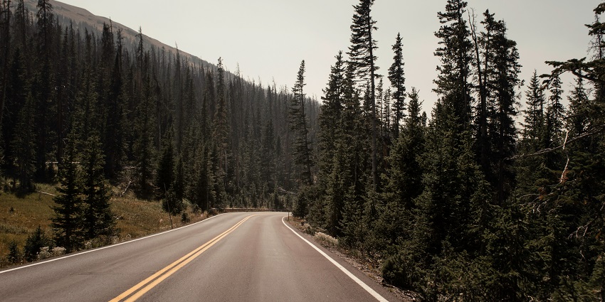 A mesmerising view of a grey road surrounded by lush green trees during the daytime.