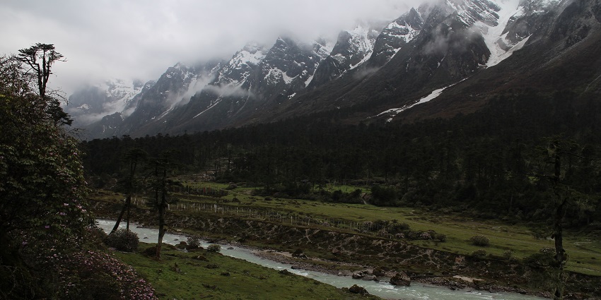 A view of a lush green valley with a stream of water flowing through against mountains.