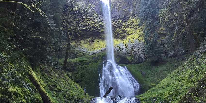 A view of a sparkling waterfall surrounded by lush green meadows during the daytime.