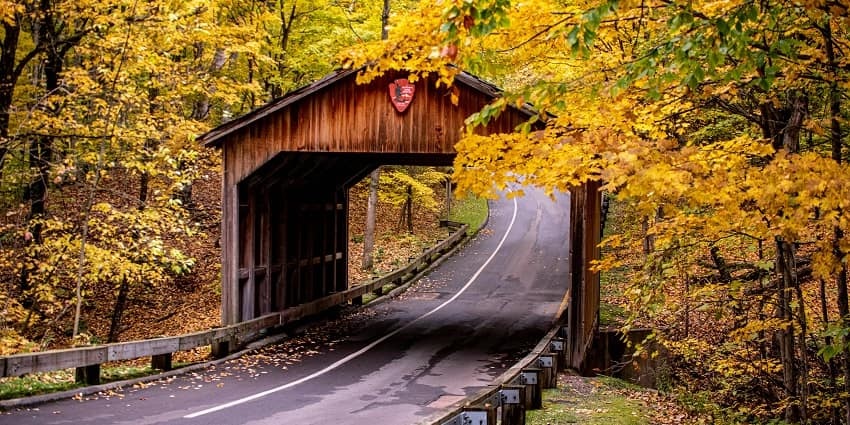 A fascinating view of a narrow strip of road passing through a wooden structure.