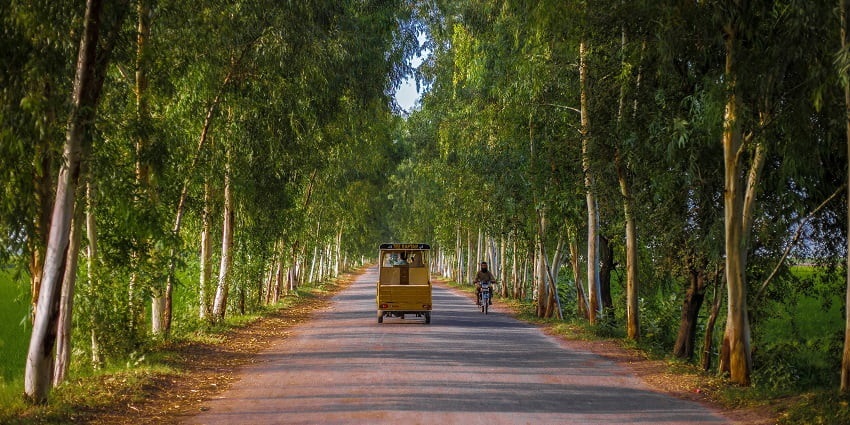 A fascinating view of a road surrounded by lush greenery with a yellow rickshaw.