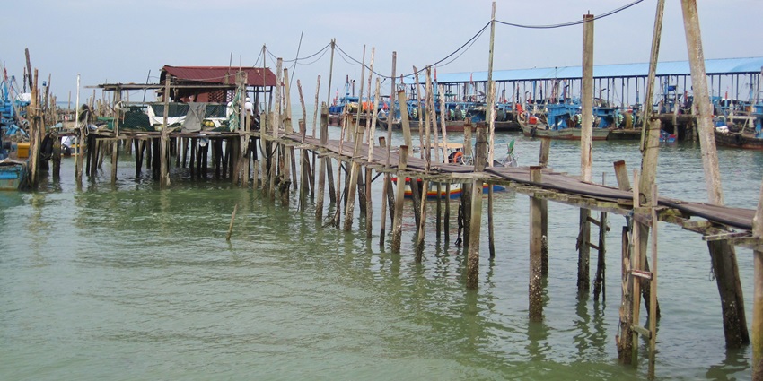 Penang National Park can be reached easily by a car or a bus as per your convenience.