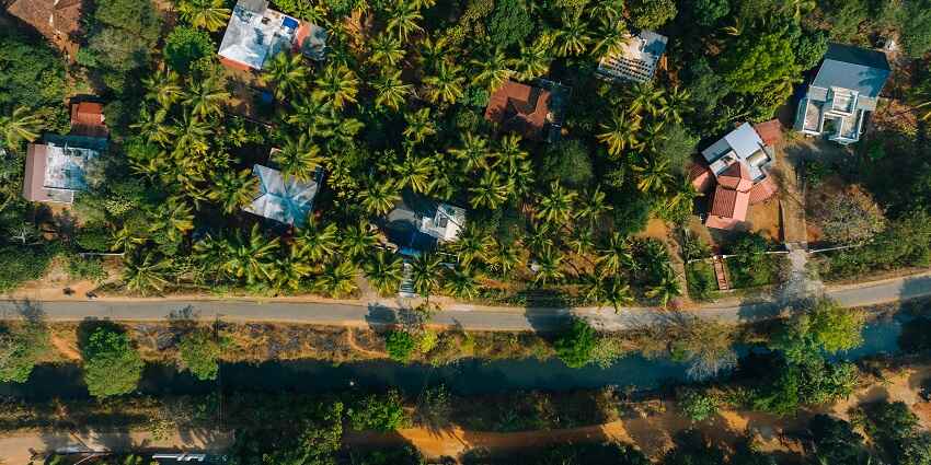 A breathtaking view of a road in Kerala surrounded by lush green trees and houses