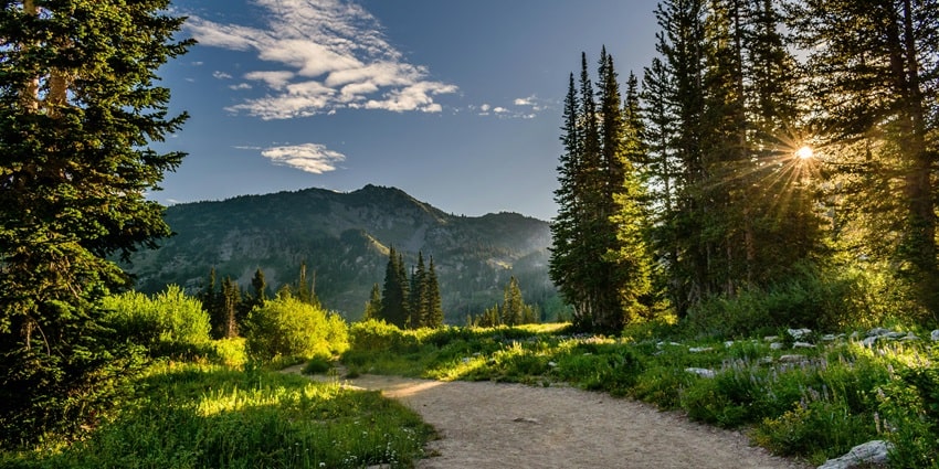 Beautiful snapshot of a dusky path going through amidst the idyllic landscape of hills