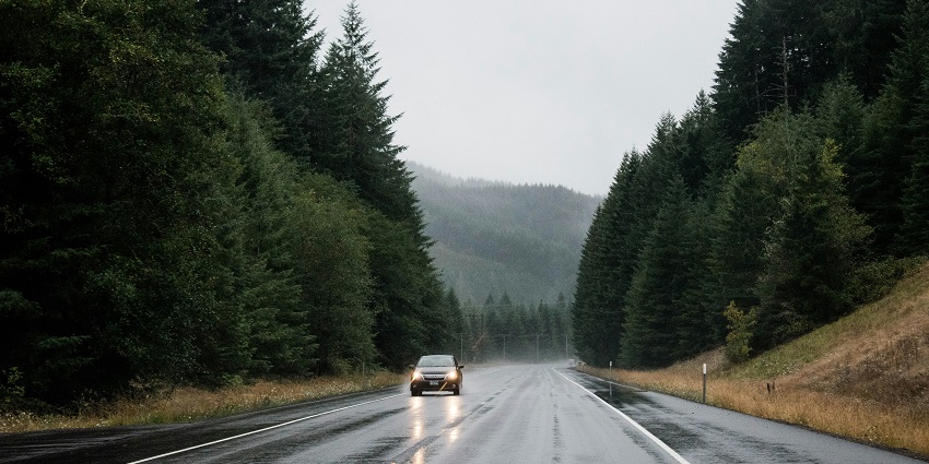 A view of a car on a wet road with tall lush green trees on both sides during the day.