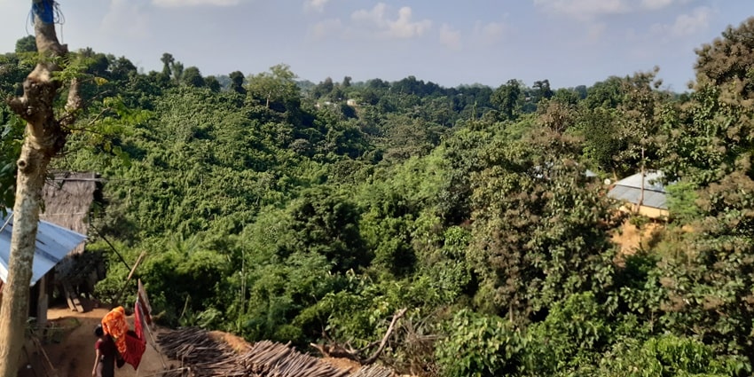 A beautiful snap of a small hut amidst the green grass in the Jungle in Tripura