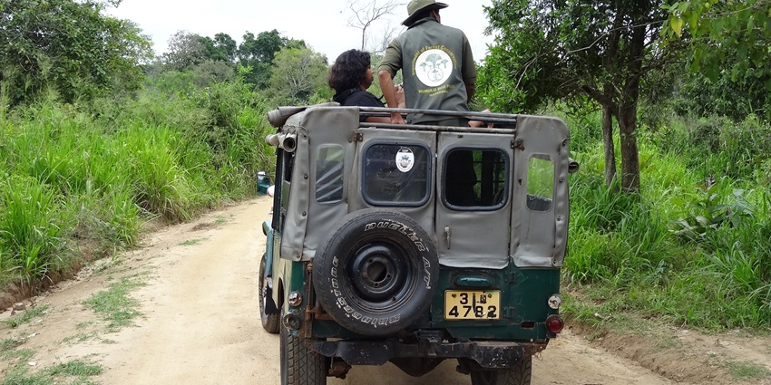 Enjoy an exciting jeep safari at the offbeat Hurulu Eco Park for a memorable experience.