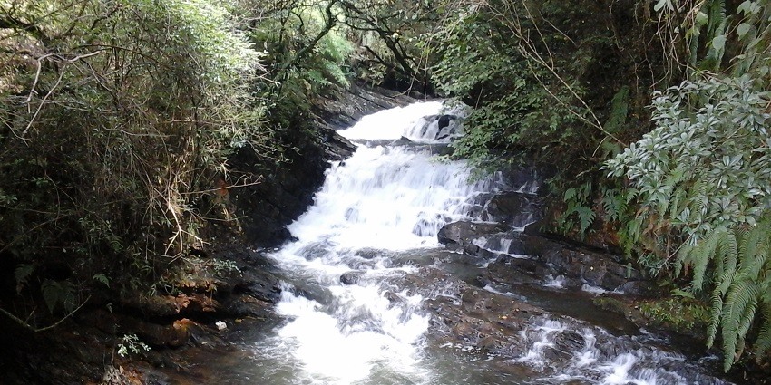 A beautiful view of a waterfall flowing through small rocks around lush greenery.