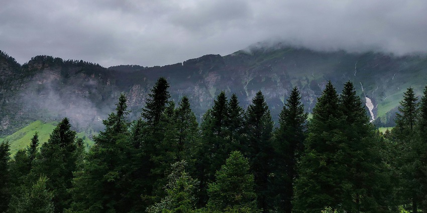 India is one of the top places to visit in monsoon in the world to witness scenic views.