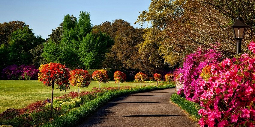 Indira Gandhi Park lets visitors enjoy a picnic, delve in sight-seeing and the surrounding beauty.