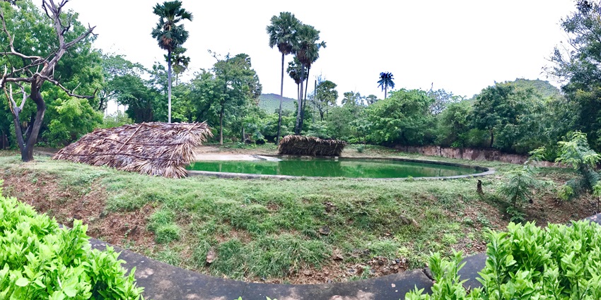 Scniec image of the Indira Gandhi Park - Best thing to do in Itanagar, Arunachal Pradesh