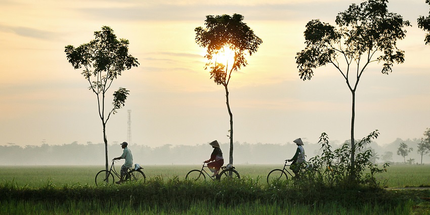 Image of farmers cycling around the paddy fields returning to their home after work