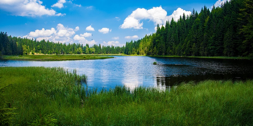 Indra Pushkarini Lake is a holy stream that is located near the Arasavalli Sun Temple