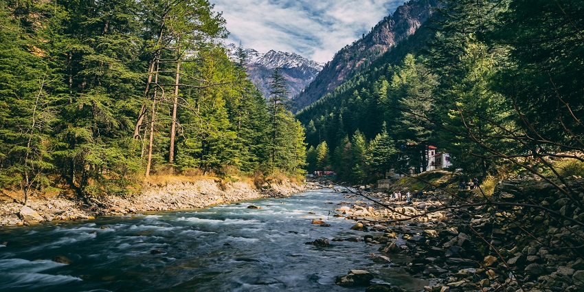 Mesmerising view of sun hues sparkling on a river meandering through the lush forests