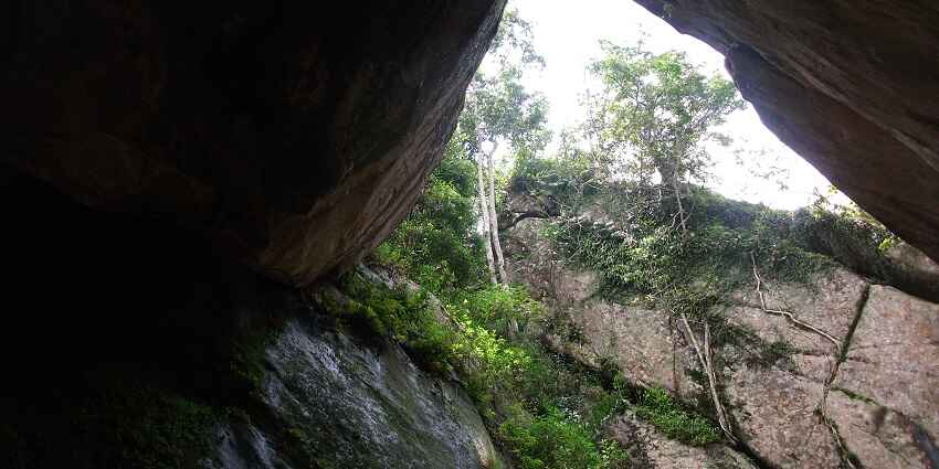 These caves is a must visit destination for travellers to learn more about of Kerela's heritage