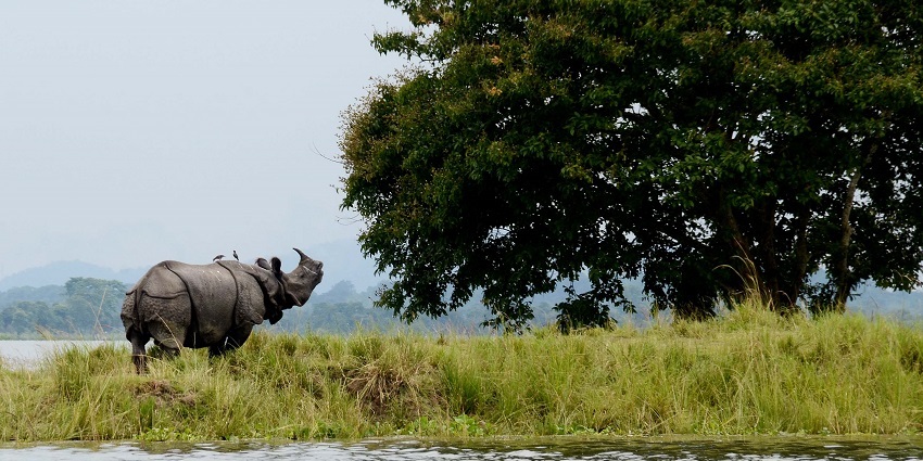 This is a must- visit destination for tourists to have an escape into nature's embrace
