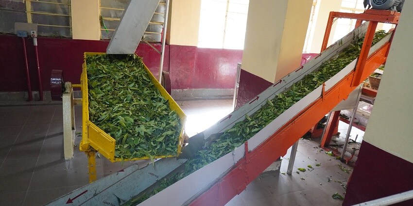 This museum reflects the rich history of Munnar in the colonial era with the tea industry