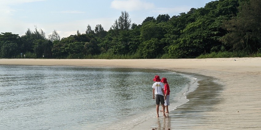 Lazarus Island offers a pristine beach view with clear waters and soft white sand.