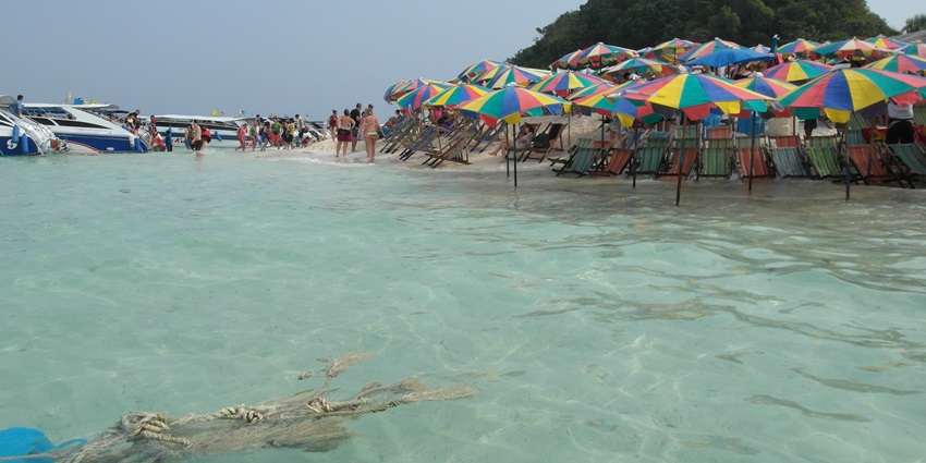 People having fun at the beach