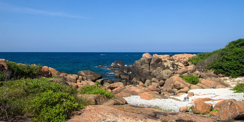 View of Pigeon Island featuring lush greenery, clear blue waters, and a serene beach landscape.