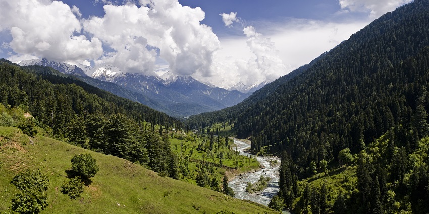 Jai Valley is a lush green valley with coniferous forests and scenic flora all around
