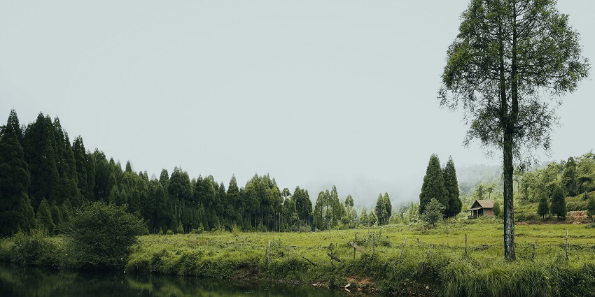 An image of Jakrem located in southwest Khasi hills, known for its spooky stories.