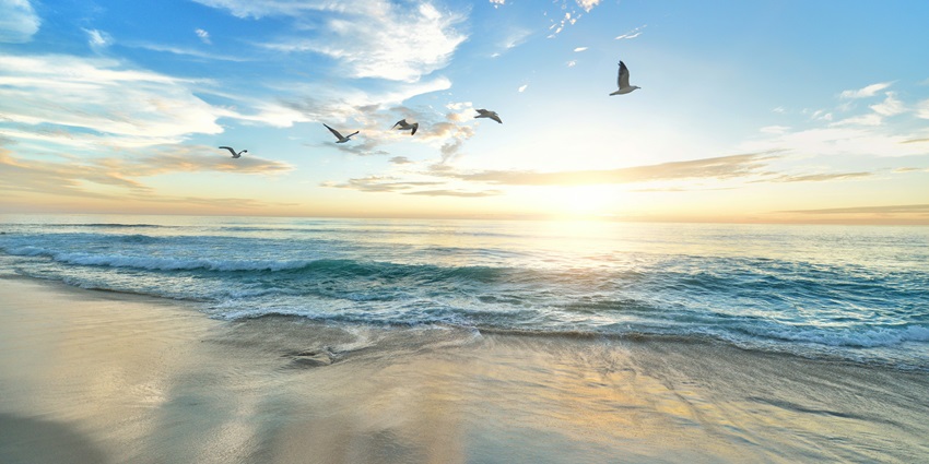 Jampore Beach is perfect for indulging in camel rides, swimming, and water sports.