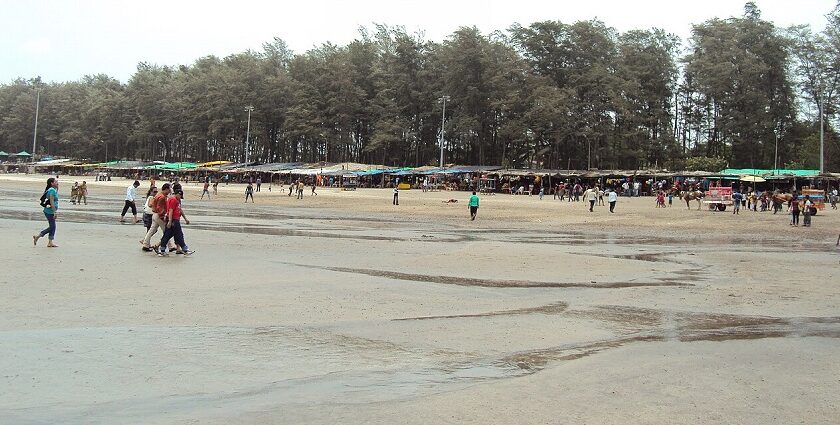 Shopping in Daman is a unique experience in itself besides exploring its gorgeous beaches.