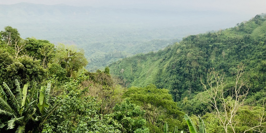 Scenic snapshot of the hills from the summit of Jampui Hills near the Agartala city