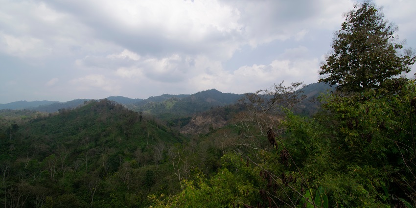 Jampui Hills, a picturеsquе hill station, is one of the best places to visit in Tripura.