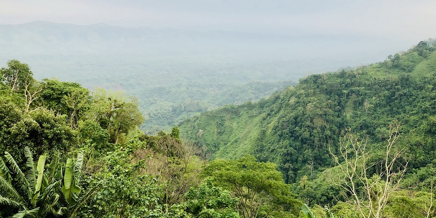 Verdant feilds of Jampui hills, a home to diverse range of flora, fauna as well as avifauna.