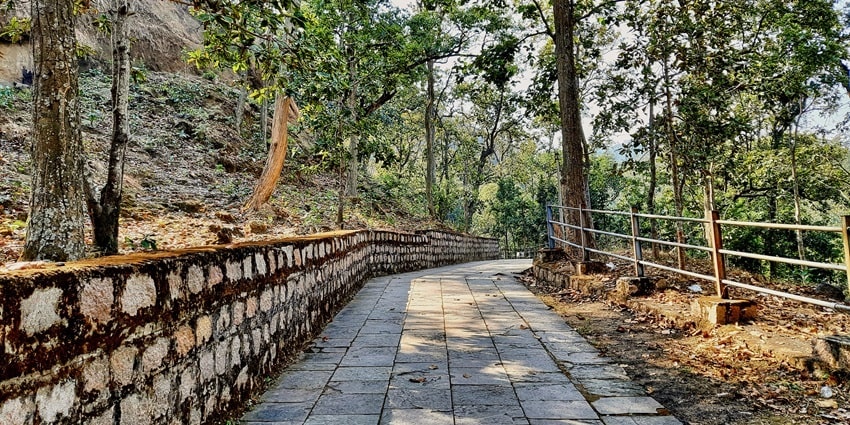Take a relaxing stroll through Janaki Forest, a place to visit near Lokanarkavu Temple.