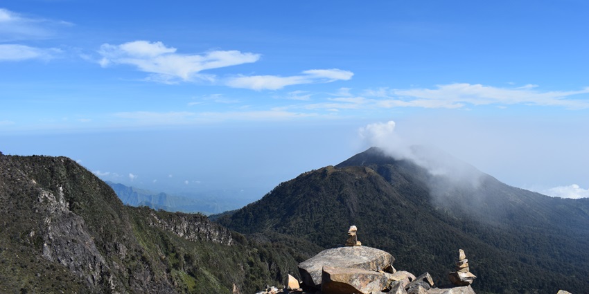 Scenic panoramic view of Japfu peak amidst the hills and beautiful lush green trees