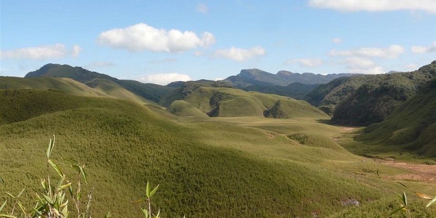 Japfu Peak, also known as Valley of Flowers, is one of the highest peaks in the region.