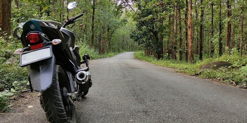 An image of a lonely path near Jatia Hill, known for eerie ghost sightings in Assam.