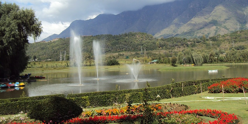One of the places to visit in East Sikkim is Jawaharlal Nehru Botanical Garden with orchids, rhododendrons, and greenery.