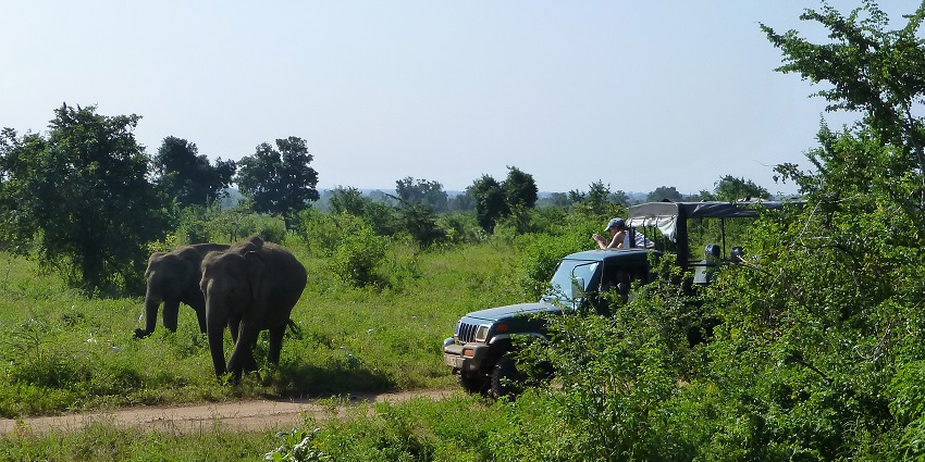 Image of travellers on jeep safari and a herd of elephants walking through the Park.
