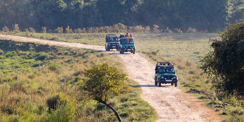 A Beautiful Evening Snapshot of the Jeep Safari in the Kaziranga National Park, Assam