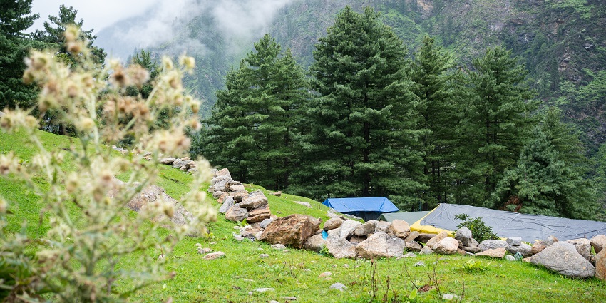 Jibhi is a scenic hamlet with beautiful lush green forests and scenic natural beauty