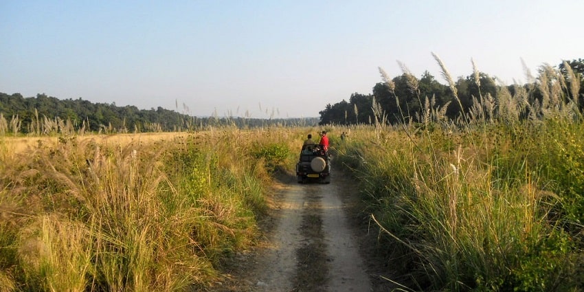 A picture of a group of people enjoying a jungle safari in Jim Corbett National Park